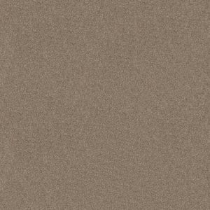 SHAW FLOORS RETAIL: SWEET INSPIRATION II