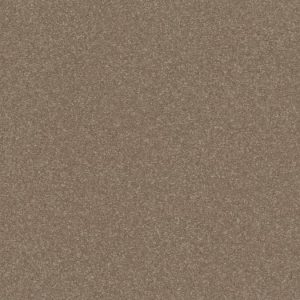 SHAW FLOORS RETAIL: HARD AT PLAY I 12'