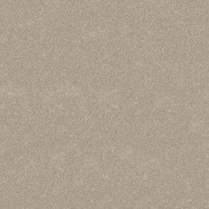 SHAW FLOORS RETAIL: HARD AT PLAY II 12'