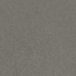 SHAW FLOORS RETAIL: HARD AT PLAY III 12'