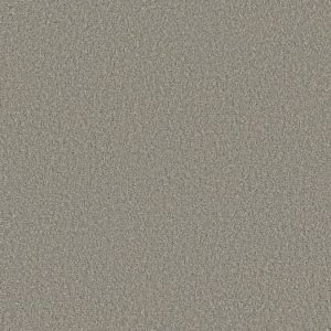 SHAW FLOORS RETAIL: POSH LIFE