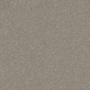 SHAW FLOORS RETAIL: YES YOU CAN I 12'