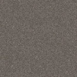 SHAW FLOORS RETAIL: YES YOU CAN II 12'