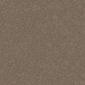 SHAW FLOORS RETAIL: YES YOU CAN III 12'