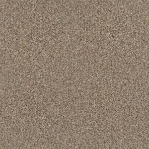 SHAW FLOORS RETAIL: YES YOU CAN I 15'