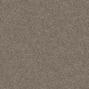 SHAW FLOORS RETAIL: YES YOU CAN II 15'