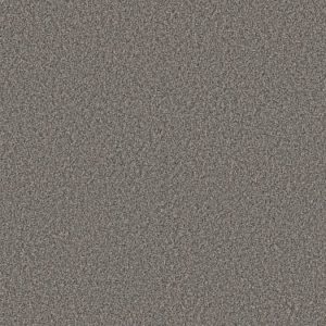 SHAW FLOORS RETAIL: ARTISTIC FUSION II