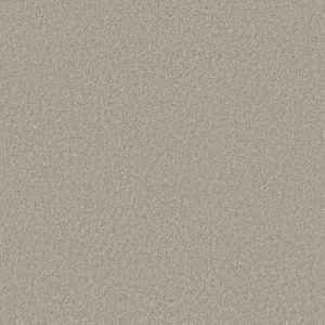 SHAW FLOORS RETAIL: SMOOTH TALK II