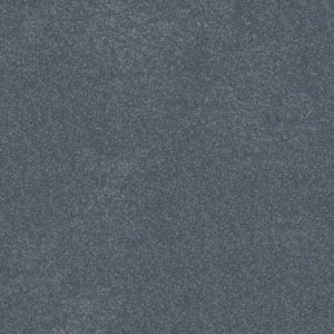 SHAW FLOORS RETAIL: HARD AT PLAY II 15'