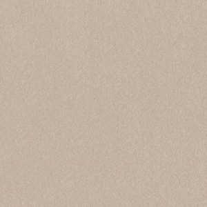 SHAW FLOORS RETAIL: HARD AT PLAY III 15'