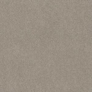 SHAW FLOORS RETAIL: SWEET INSPIRATION I NET