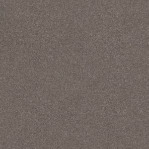 SHAW FLOORS NET: SMOOTH TALK I NET