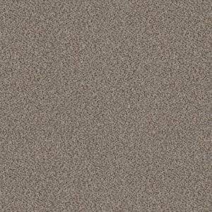 SHAW FLOORS NET: TRUSPIRIT I NET