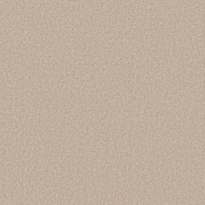 SHAW FLOORS NET: SMOOTH TALK II NET