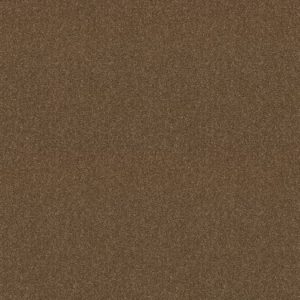 SHAW FLOORS VALUE: DASHING II 12'