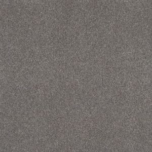 SHAW FLOORS RETAIL: COZY HARBOR I