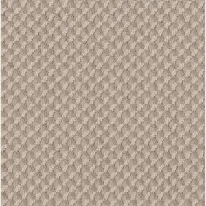 SHAW FLOORS RETAIL: INSPIRED DESIGN