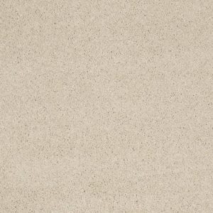 SHAW FLOORS RETAIL: CASHMERE III