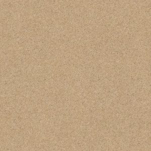 SHAW FLOORS RETAIL: CASHMERE CLASSIC IV