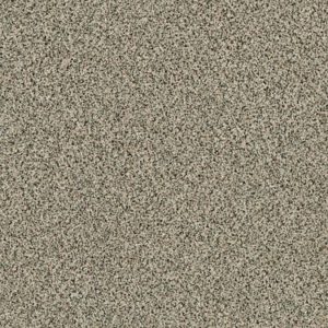 SHAW FLOORS RETAIL: ANGORA CLASSIC I