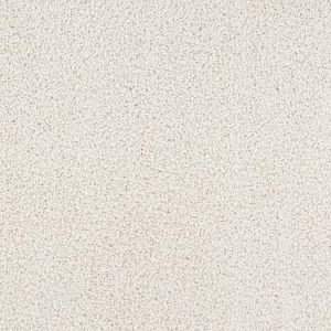 SHAW FLOORS RETAIL: RICH OPULENCE
