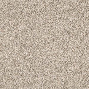 SHAW FLOORS RETAIL: DEVON CLASSIC I