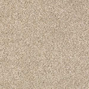 SHAW FLOORS RETAIL: DEVON CLASSIC II