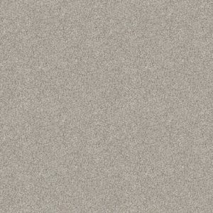 SHAW FLOORS RETAIL: DEVON CLASSIC III