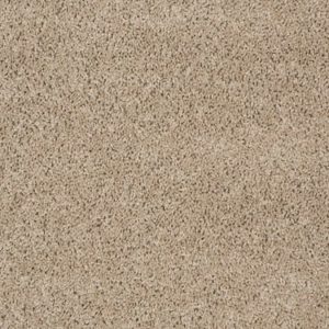 SHAW FLOORS VALUE: FUSION VALUE 300