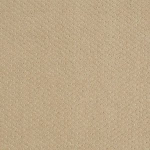 SHAW FLOORS VALUE: GENESIS
