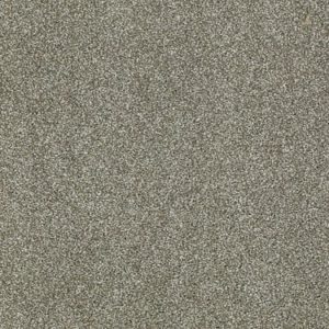 SHAW FLOORS RETAIL: PICTURESQUE