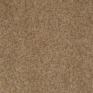 SHAW FLOORS VALUE: EMERGE (A)