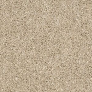 SHAW FLOORS VALUE: MAX APPEAL