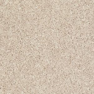 SHAW FLOORS VALUE: GO BIG