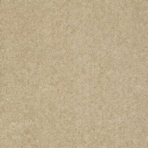 SHAW FLOORS VALUE: FOOTWORK