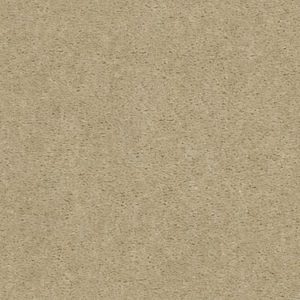 SHAW FLOORS RETAIL: LET'S RACE