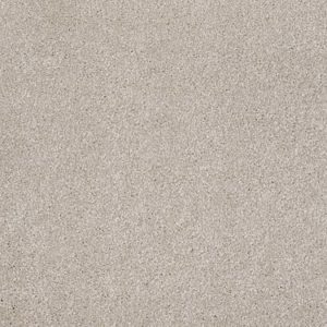SHAW FLOORS NET: AWESOME 4