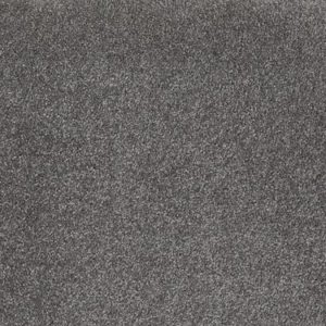 SHAW FLOORS NET: AWESOME 5 (S)