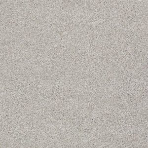 SHAW FLOORS NET: AWESOME 6 (T)