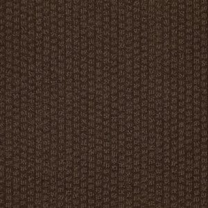 SHAW FLOORS RETAIL: PACIFIC TRAILS