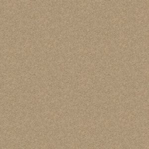 SHAW FLOORS VALUE: BRICEVILLE CLASSIC 12