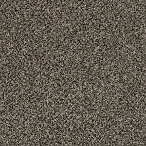 SHAW FLOORS RETAIL: BECAUSE WE CAN II 12'