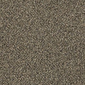 SHAW FLOORS RETAIL: BECAUSE WE CAN III 15'
