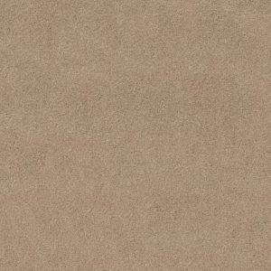 SHAW FLOORS RETAIL: ORIGINS II