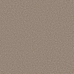 SHAW FLOORS RETAIL: WORK THE COLOR