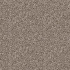 SHAW FLOORS RETAIL: FROSTING