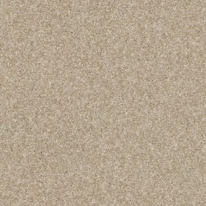SHAW FLOORS RETAIL: OF COURSE WE CAN I 12'