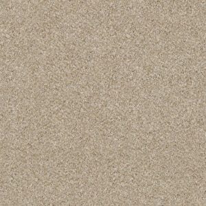 SHAW FLOORS RETAIL: OF COURSE WE CAN II 12'