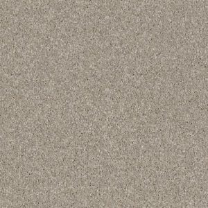 SHAW FLOORS RETAIL: OF COURSE WE CAN II 15'