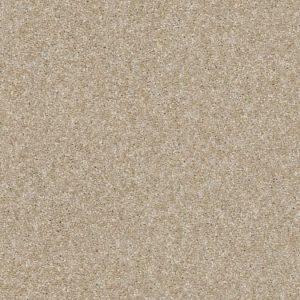 SHAW FLOORS RETAIL: OF COURSE WE CAN III 15'